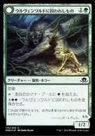 [C] : [FOIL] ウルヴェンワルド Captivity / ウルヴェンワルド Abhorrent / Ulvenwald Captive/Ulvenwald Abomination