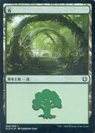 [C] : [FOIL] Mori (262/264) / Forest (262/264)