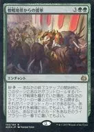 [R] : [FOIL] Reinforcements from the Mitral area / Aid from the Cowl