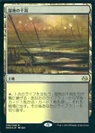 239/249 [R] : [MM3] [FOIL] Marsh Tidal Flat / Marsh Flats