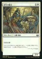 029/249 [C] : 【 MM3 】 【 FOIL 】 Young Knight / Youthful Knight