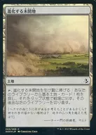 [C] : [FOIL] Evolving Unexplored Land / Evolving Wilds