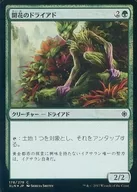 [C] : [FOIL] Hanano Dryad / Blossom Dryad