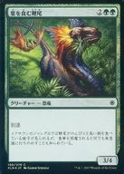 [C] : [FOIL] Grazing Whiptail / Grazing Whiptail