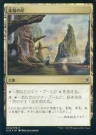 [C] : [FOIL] Unknown Shores / Unknown Shores