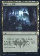 240/249 [C] : [A25] [FOIL] Possessed Marsh / Haunted Fengraf