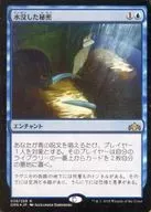 [R] : [FOIL] Submerged Secrets / Drowned Secrets