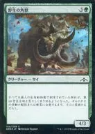 [C] : [FOIL] Wild Hornbeast / Wild Ceratok