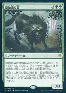 [R]:【FOIL】刁難的狼/Wicked Wolf