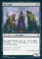 [C]:【FOIL】墳丘之魔女/Barrow Witches