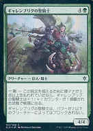 [C]:【FOIL】ギャレンブリグ的圣骑士/Garenbrig Paladin