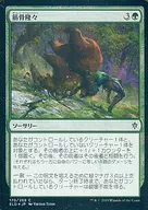 C]:【FOIL】筋骨隆隆/Outmuscle