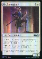 041/274[U]:【FOIL】精練的老兵/Tempered Veteran