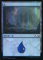 [C]:【FOIL】岛/Island