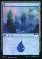 [C]:【FOIL】岛/Island