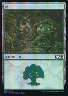 [C]:【FOIL】森林/Forest