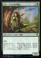 241/361[C]:【FOIL】莉絲·阿拉娜的弓箭手/Lys Alana Bowmaster