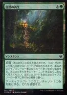 245/361[C]:【FOIL】自然再生/Natural Reclamation