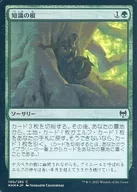 [C]:【FOIL】知識的根/Roots of Wisdom