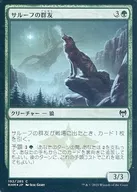 [C]:【FOIL】Saroof的群友/Sarulf's Packmate