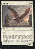 041/361[C]:【CLB】【FOIL】偵察之鷹/Scouting Hawk