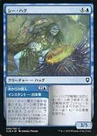 095/361[C]:【CLB】【FOIL】Sea Hag/Sea Hag