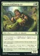 226/361[C]:【CLB】【FOIL】翡翠木立的德魯伊德/Druid of the Emerald Grove