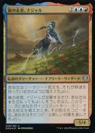 208/281[U]:【DMU】【FOIL】Storm Runner，Nayar/Najal the Storm Runner