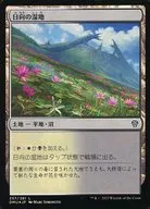 257/281[L]:【DMU】【FOIL】日向的溼地/Sunlit Marsh