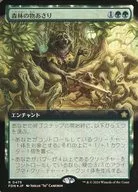 0475[R]:【FDN】【FOIL】【扩展艺术版】森林之物蛤蜊/Sylvan Scavenging