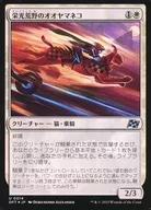 0014 [U] : 【 DFT 】 【 FOIL 】 Glory Wilderness Lynx / Gloryheath Lynx