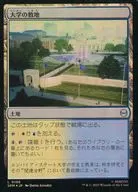 0186[L]：【SPM】【FOIL】大学の敷地/University Campus