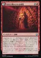 0153[U]：【TLA】【FOIL】冬至に明かされる秘密/Solstice Revelations