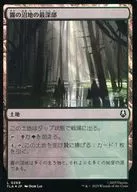 0269[L]：【TLA】【FOIL】霧の沼地の最深部/Foggy Bottom Swamp