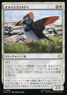 0088[C]：【TLE】【FOIL】オオハシツノメドリ/Toucan-Puffin