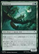 0251[C]：【TLE】【FOIL】カエルリス/Frog-Squirrels