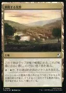 0262[C]：【TLE】【FOIL】興隆する荒野/Thriving Heath