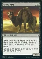 [C] : [Korean version] Wretched Camel / / Poor Camel