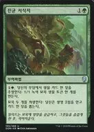[UC]：【韓国語版】Fungal Plots/菌類の勢力範囲