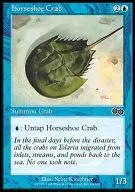 80/350 [C] : [USG] Horseshoe Crab / horseshoe crab