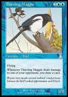 49/143 [U] : [UDS] Thieving Magpie / Thief Eurasian magpie