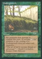 [C] : Undergrowth [B]