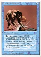 [C] : Mutación inestable / mutación inestable