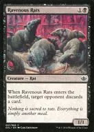 037/063[C]:【GVL】Ravenous Rats/贪欲的老鼠