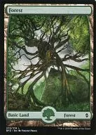 C : Forest (273/274) / Forest (273/274) (Full Art)