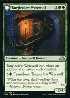 Tangleclaw Werewolf/Fibrous Entangler / Werewolf of Claws / Fibrous Tangler