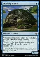 [C] : Thriving Turtle