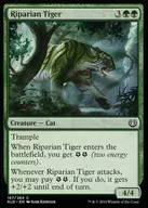 [C] : Riparian Tiger / Waterside Tiger