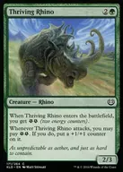 [C] : Thriving Rhino