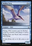 005/040[C]:【GS1】Welkin Tern/天空的石竹
